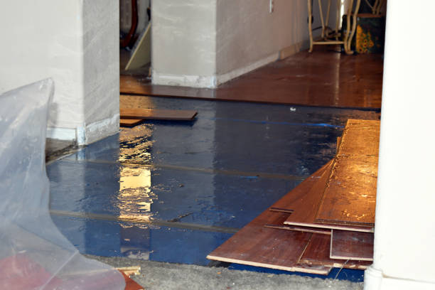 Professional Flood Damage Restoration technician working in Argusville, ND